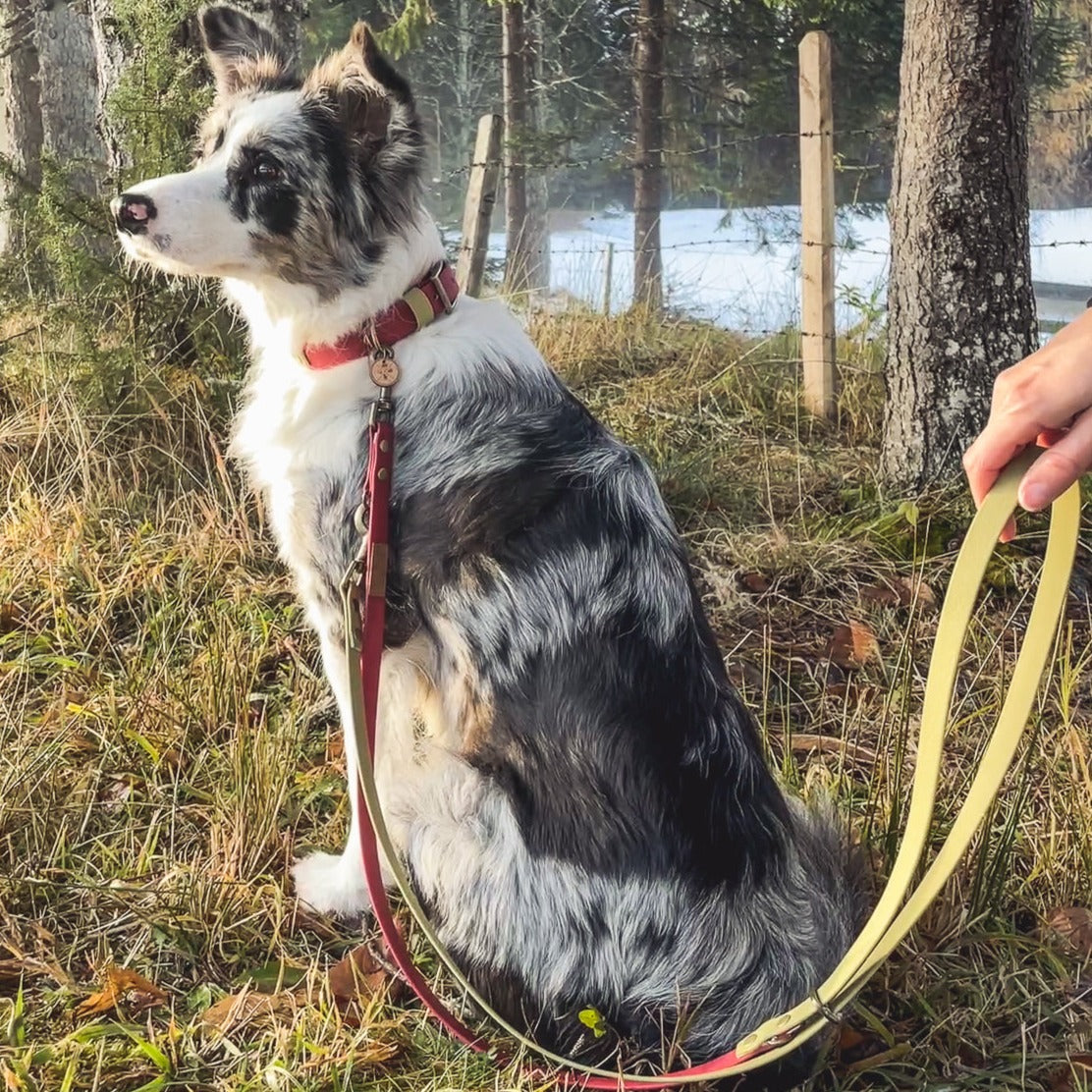 Biothane Hands Free Hundeleine kharo mit passendem Hundehalsband aus Biothane in rot