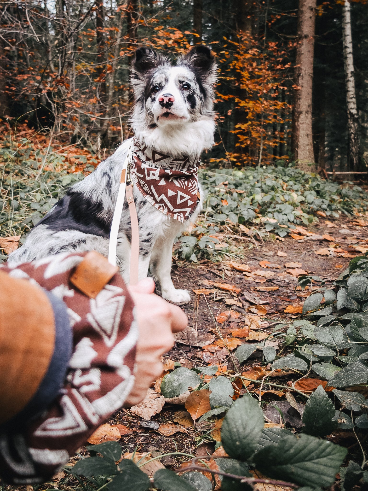 Handgemachte Hundehalstücher / Bandana von Furfellows