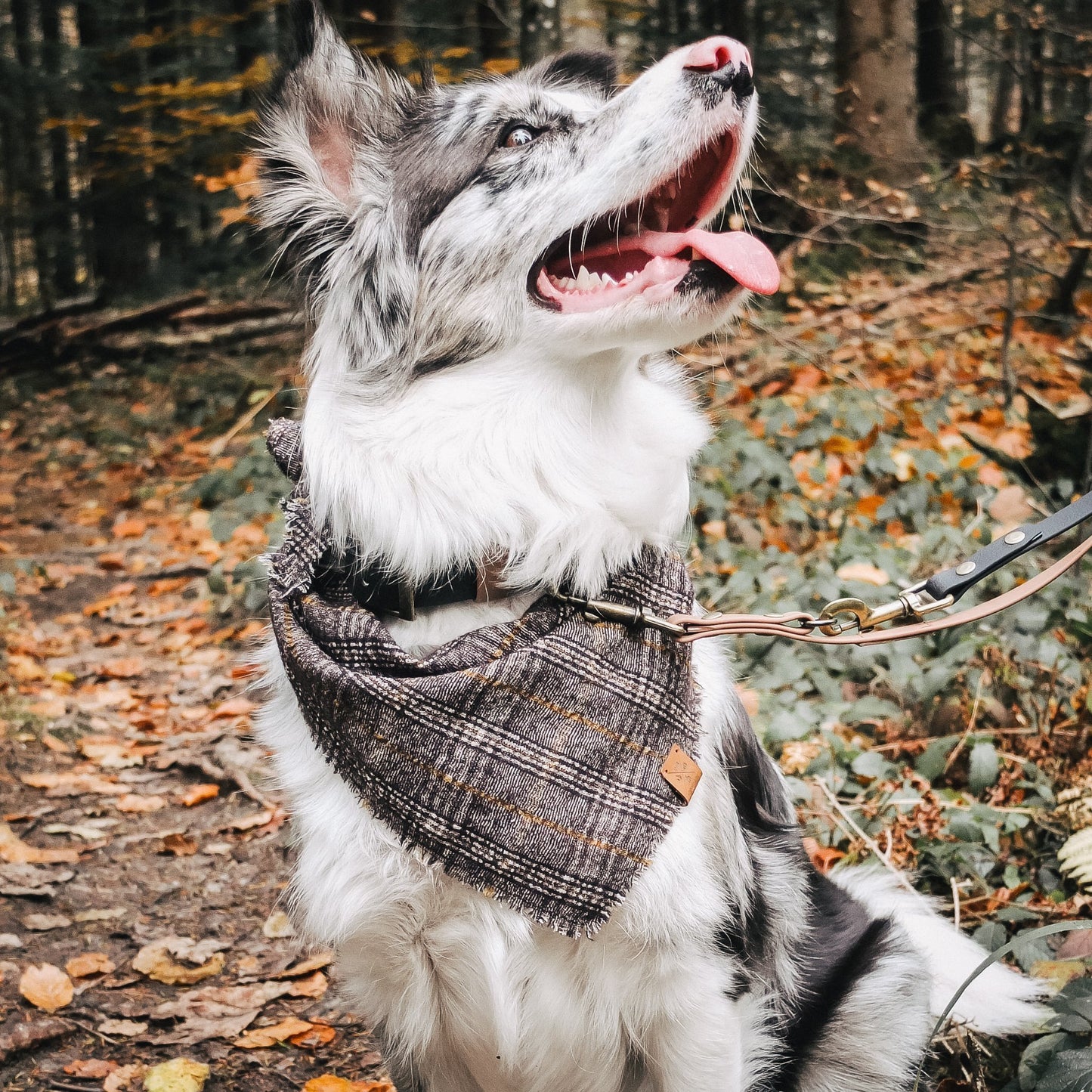 setangebot von furfellows, handgemachtes halstuch für hunde und haarband für die halterin