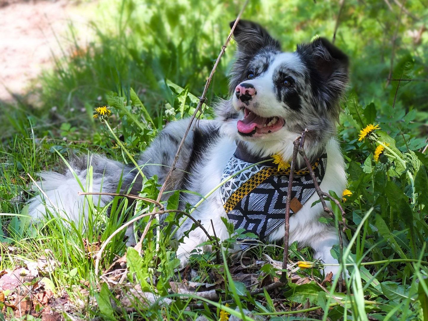 Inside-Out Hunde Bandana, Halstuch Hundetuch Hundehalstuch Wendetuch wendehalsbandFurfellows handmade handgemacht baumwolle jersey bio vegan Fashion girlsfashion womansfashion pawtnerlook matching-set partnerlook hundemode