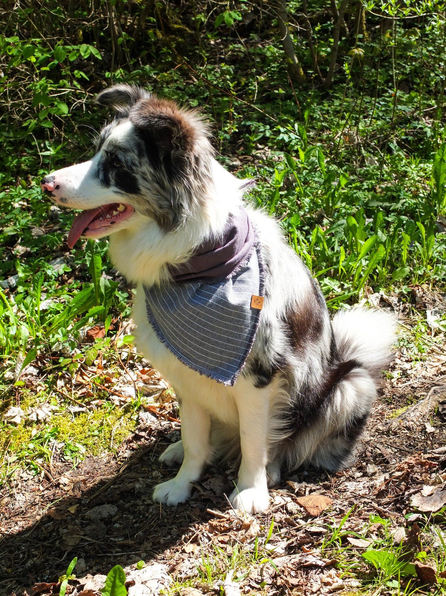 Inside-Out Hunde Bandana, Halstuch Hundetuch Hundehalstuch Wendetuch wendehalsbandFurfellows handmade handgemacht baumwolle jersey bio vegan Fashion girlsfashion womansfashion pawtnerlook matching-set partnerlook hundemode