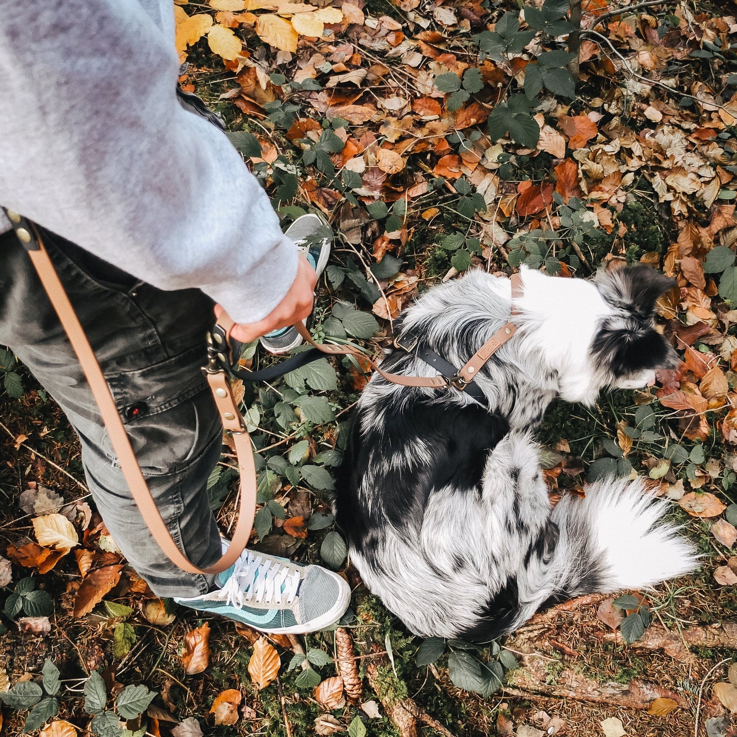 Hunde-Halsband und Leine Set aus Biothane, handgefertigte Biothane Hunde-Leinen Brustgeschirre & Halsbänder,Halstücher, Partnerlooks für Hund & Halterin von Furfellows | Dein Onlineshop für handgefertigte Hundeaccessoires