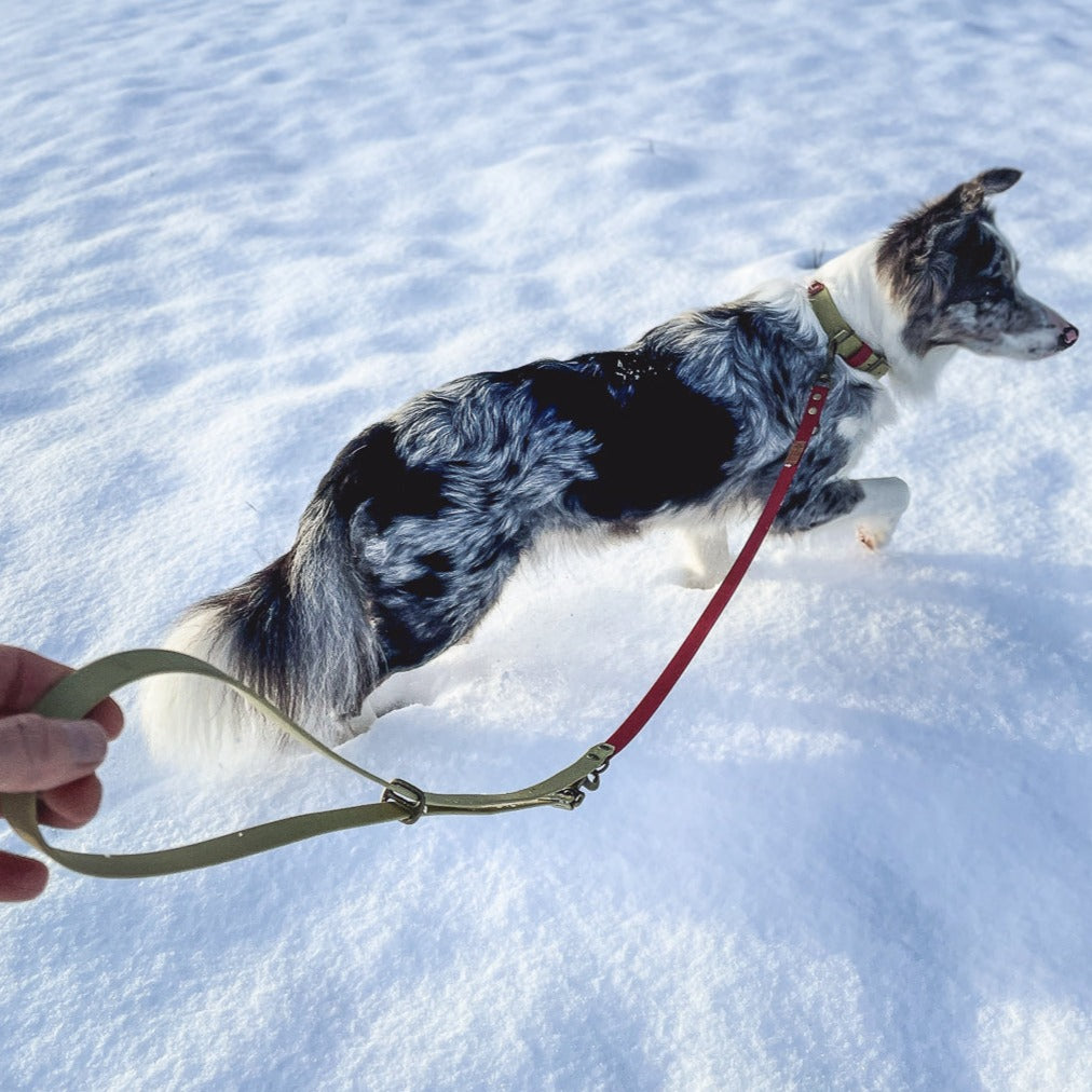 Biothane Hundeleinen von Furfellows, perfekt im Schnee, Matsch und Regenwetter