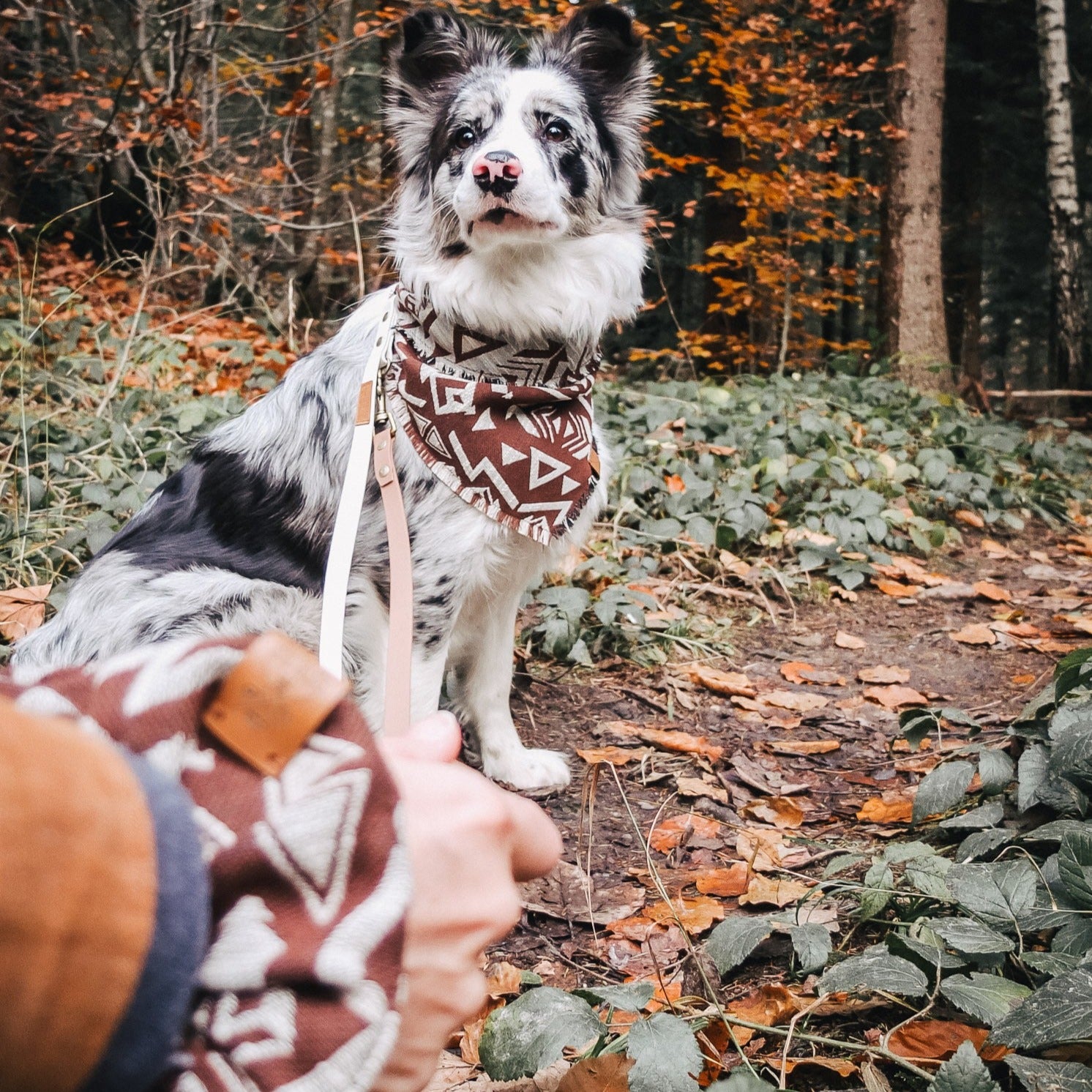 Schrunchie aus Baumwolle, Furfellows handgemachte Accessoires für Hund und Halterin, Pawtnerlook