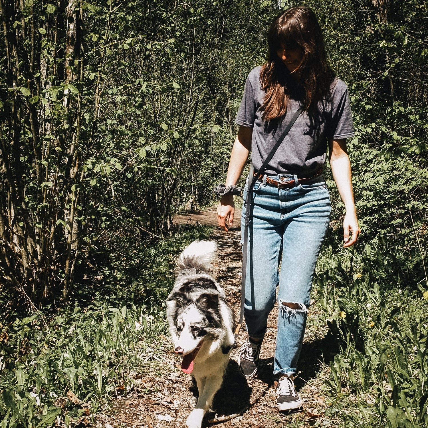 Biothane Hundeleine für echte abenteuer-hunde & wasserratten ✔ 100% wasserfest ✔ langlebig & pflegeleicht ✔ hypoallergen hundehalsbänder